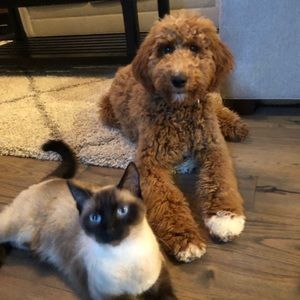 Meet your Posher, Camryn